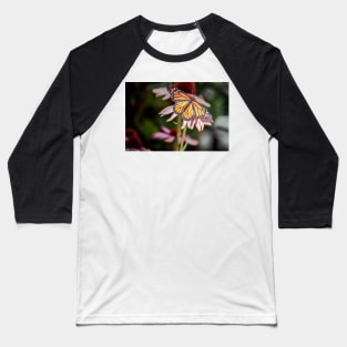 Monarch Butterfly on Purple Coneflower Baseball T-Shirt